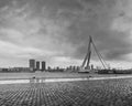City Landscape, black-and-white - view on Erasmus Bridge on rainy cloudy day, city of Rotterdam