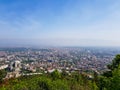 City landscape with trees in foreground on a sunny day