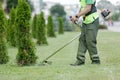 City landscaper cutting grass around planted thuja trees with string lawn trimmer