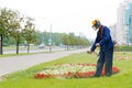 City landscaper cutting grass Royalty Free Stock Photo