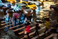 New York City at Night Cross Walk With Time Lapse Motion Blur