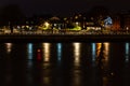 City lights with tree shadow at Shannon river Royalty Free Stock Photo