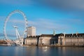 City of London with London Eye Royalty Free Stock Photo