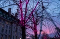 ces al atardecer y de fondo el London Eye Royalty Free Stock Photo