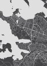 City map Reykjavik, monochrome detailed plan, vector illustration Royalty Free Stock Photo