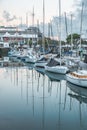 City marina skyline with yacht masts on the foreground