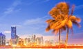 City of Miami Florida, night skyline Royalty Free Stock Photo