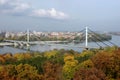 City of Novi Sad and the Liberty bridge on a Danube river in Serbia