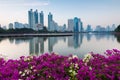 City office building with reflection flower front Royalty Free Stock Photo