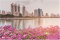 City office building water lake with flower front Royalty Free Stock Photo