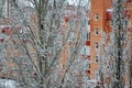City panorama with a view of the snow-covered trees after morning snowfall