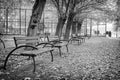 City park in autumn. Colorful leaves and empty benches. Changing the season and cooling down Royalty Free Stock Photo