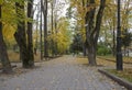 City park in autumn at the time of leaf fall. The problem of cleaning fallen leaves in the city. Wonderful autumn in the park with