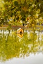 City park, autumn trees with yellow leaves, lake with small wooden house for ducks Royalty Free Stock Photo