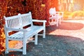 City park bench Royalty Free Stock Photo