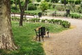 City park with benches and sycamore tree Royalty Free Stock Photo