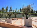 City Park blue sky, tiles, lights, trees background. The track is lit by modern street lights Royalty Free Stock Photo