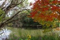 City Park in Boise, Idaho Royalty Free Stock Photo