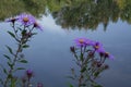 City Park in Boise, Idaho Royalty Free Stock Photo