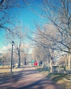 City park on cold February day in Kelowna, BC Canada. Tree lined paved pathway and lamppost in foreground. Royalty Free Stock Photo