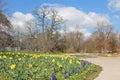 City park with daffodil and hyacinth flowerbed
