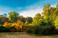 City park in deep autumn