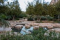 City park with exotic palm trees, botanical garden in Abu Dhabi. UAE