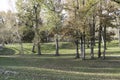 City park in fall autmn with leaves on the ground