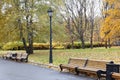 City park in the fall. Benches in the autumn park