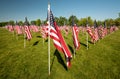 City park filled with American flags blowing in the wind