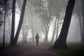 City park in foggy morning - person silouette in the foggy park at the morning. Clean environment contsept Royalty Free Stock Photo