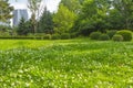 A city park full with flowers in China Royalty Free Stock Photo