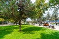 Tiraspol, Transnistria, Moldova - September 6, 2022: city park, green lawns and trees, random people walking along the paths, urba Royalty Free Stock Photo