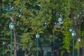 City park with green leaves trees and street light lanterns in summer time. Landscape of municipal relaxation place to spend