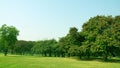 A city park with green surrounding.