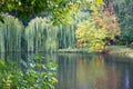 City park with lake and trees during the rain in the beginning of autumn_