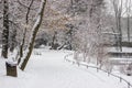 City park Maksimir Zagreb, winter