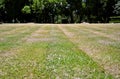 Mowed lawn in sunny day Royalty Free Stock Photo