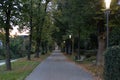 city park at night with lamps and boulevard with trees in south