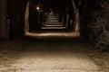 City park in the night scenery with a place to rest. Landscape of night city park in the spring. Benches, paths and lights. Royalty Free Stock Photo