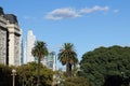 Palm tree in the background of skyscrapers