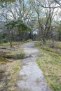 City Park Path in Springtime