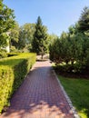 In the city park, a path for walking made of paving tiles, which leads in perspective to a fountain in the form of Cupid