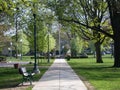City Park Pathway Royalty Free Stock Photo
