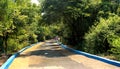 City Park Pathway Royalty Free Stock Photo