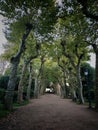 City park, Pontevedra. Spain