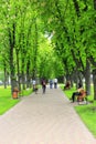 City park with promenade path benches and big green trees