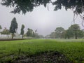 City park when it`s raining and foggy Royalty Free Stock Photo