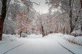 City Park after snow storm is covered with white snow. Snow after snowfall on city street. Beautiful cold winter scene. Royalty Free Stock Photo