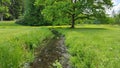 In the city park, a stream runs through a grassy meadow of flowers and oaks stand. Their branches are spread wide and young leaves Royalty Free Stock Photo